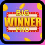 big winner pro